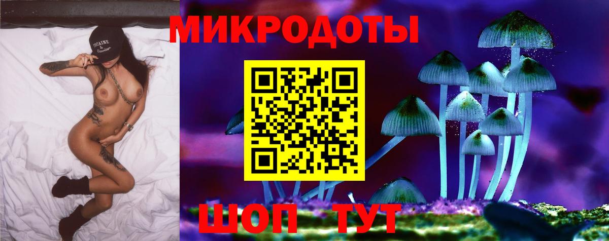 Псилоцибиновые грибы прущие грибы  Галлюциногенные грибы Psilocybine cubensis  как найти   Татарск  Вход с VPN 